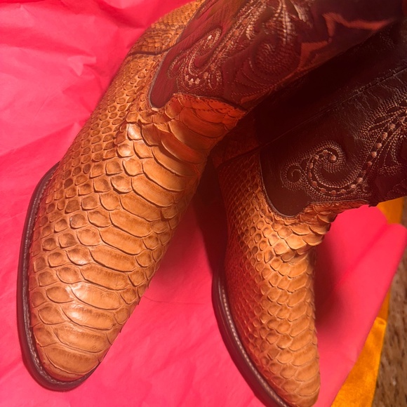 Pythons - Picture 1 of 5